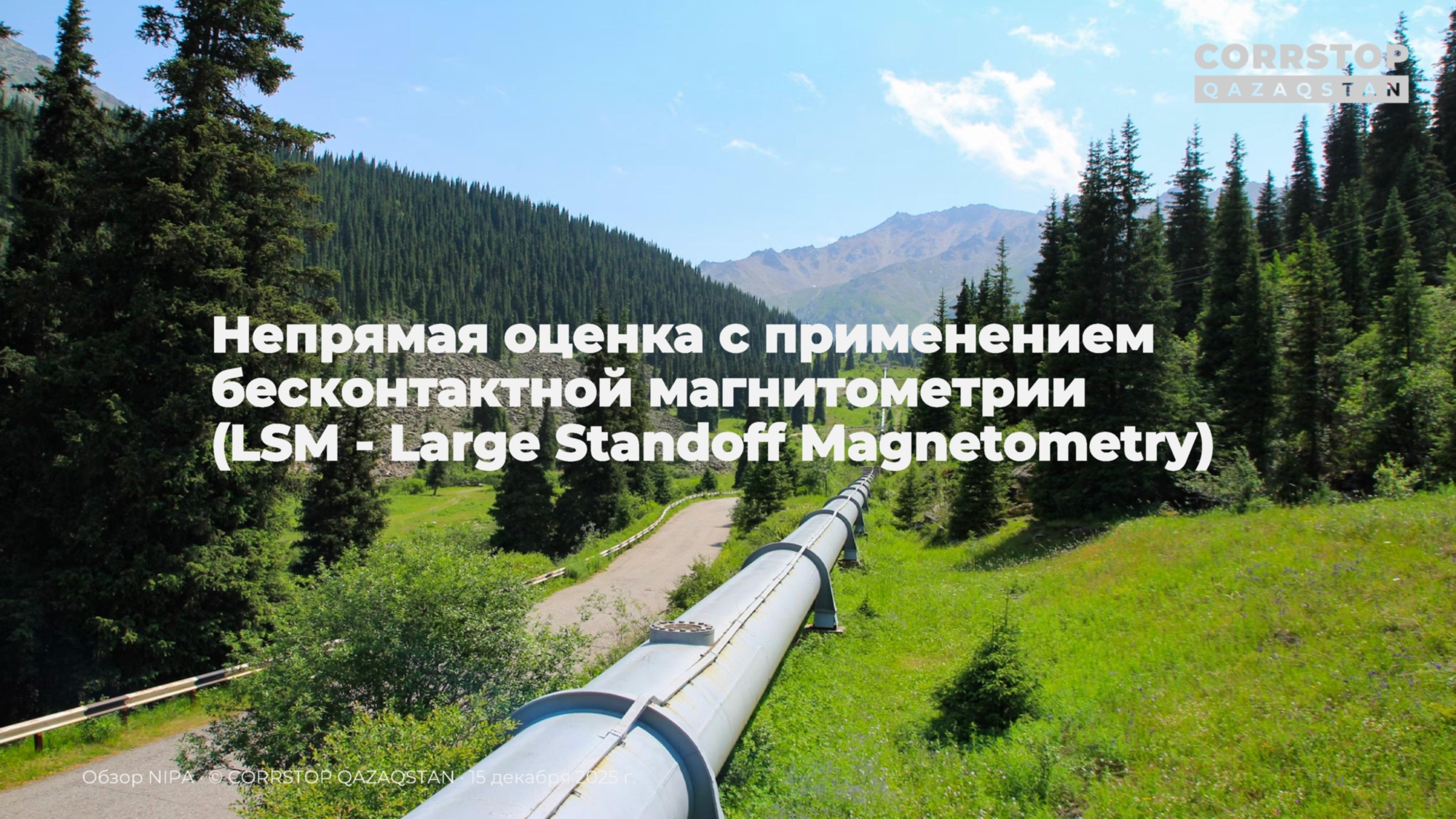 Магнитометрическая инспекция подземных трубопроводов.